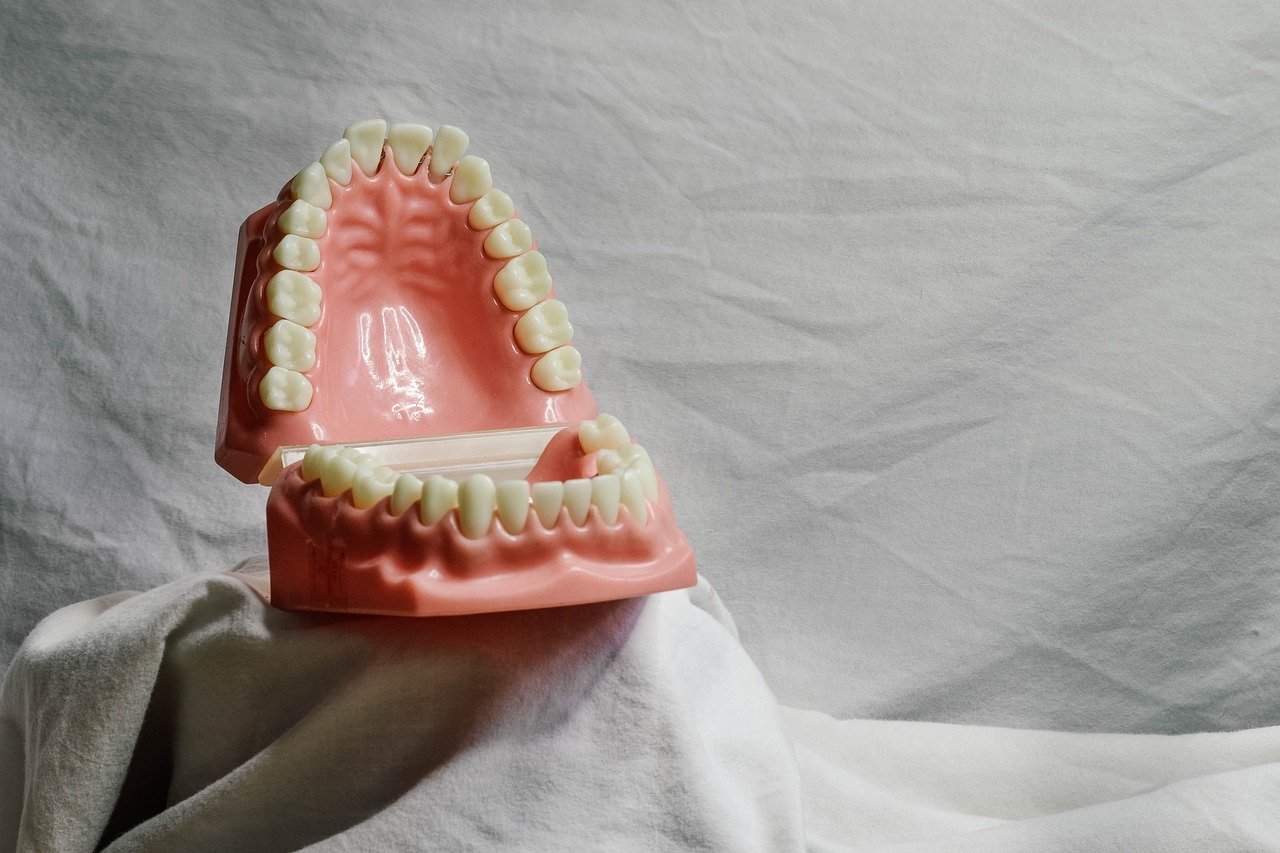 teeth